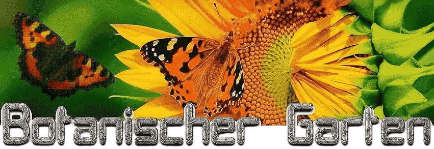 Botanischer Garten - Logo