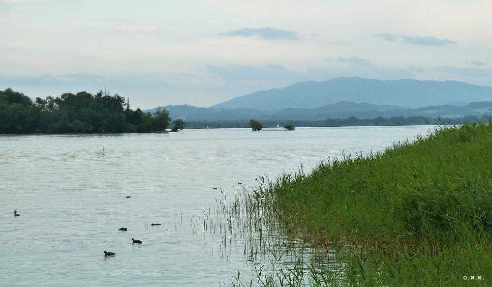 Chiemsee