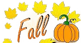 Fall