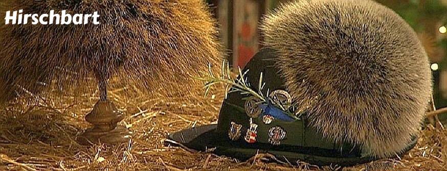 Hirschbart