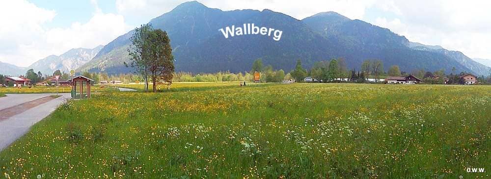 Wallberg