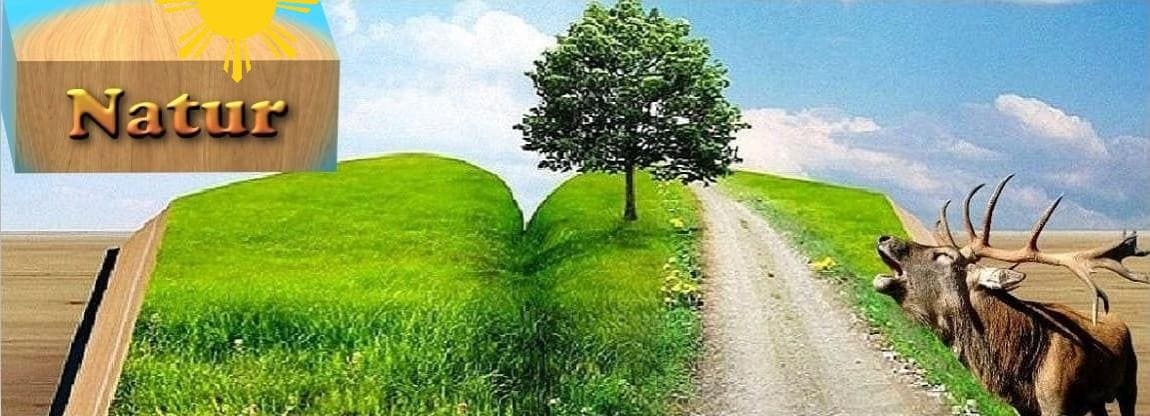 Natur Logo